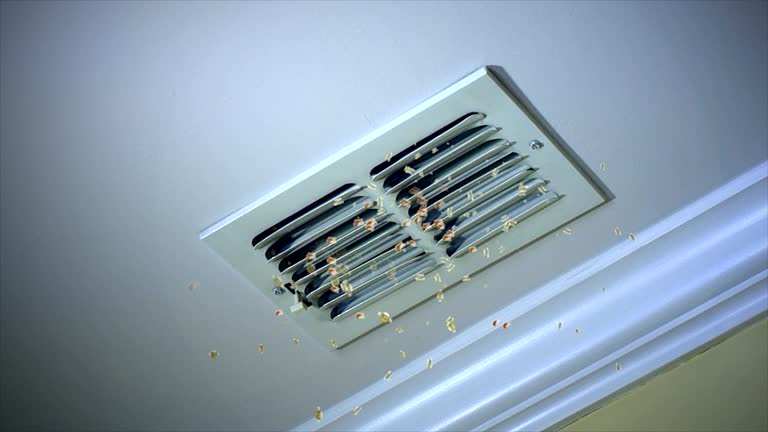 Best Air Duct Sanitizing Services  in Stony Prairie, OH